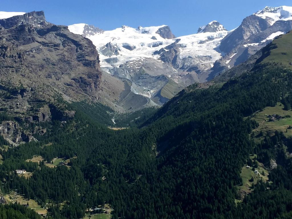 Affittacamere Buenavista Guest House Champoluc Bagian luar foto