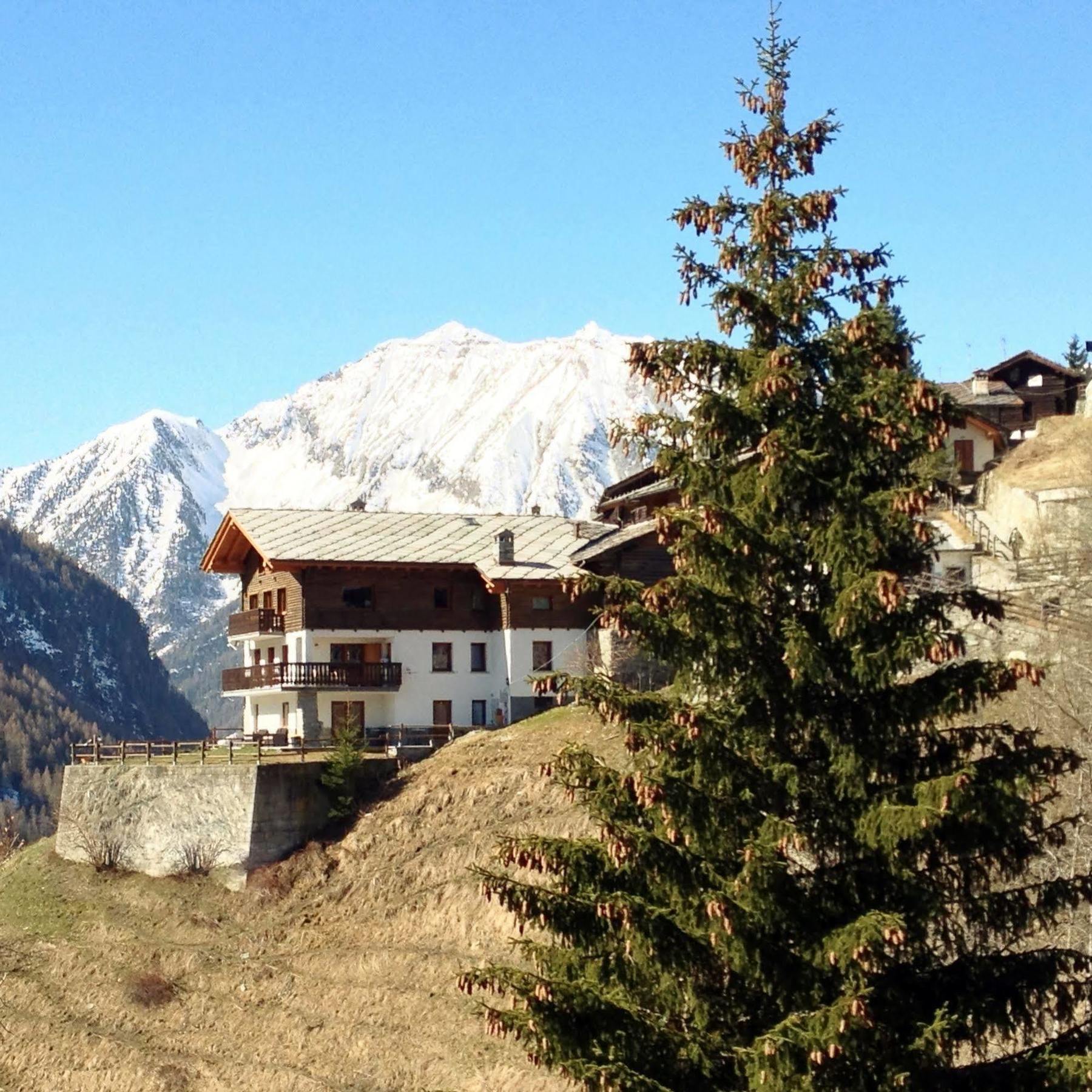 Affittacamere Buenavista Guest House Champoluc Bagian luar foto